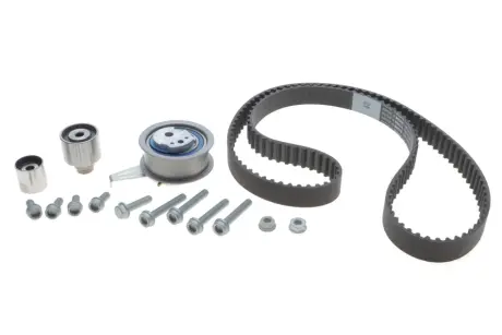 Комплект ГРМ VW Crafter/Passat B8/T6/Skoda Octavia III-IV/Audi A3 2.0D 12- (25x145z) BOSCH 1 987 946 677