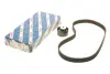 Комплект ГРМ Fiat Doblo/Punto/Stilo/Opel Combo/Jeep Renegade 1.4i 10- (22x124z) 1 987 946 715
