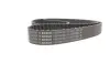 Ремінь ГРМ Audi A3/A4/A6/A7/Q2/Q3/Q5/Skoda Octavia/VW Golf VIII 2.0D/2.0DH 15- (25x149z) BOSCH 1 987 946 822 (фото 4)