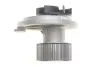 Комплект ГРМ + помпа Opel Frontera/Vectra B/Omega B 2.2 i 95-03 (24x171z) BOSCH 1 987 946 901 (фото 3)