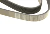Ремінь генератора Mazda 6 2.0 MZR-CD 07-10/MPV 2.0 DI 02-06 (8PK1230) BOSCH 1 987 947 047 (фото 5)