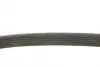 Ремень генератора Peugeot 206/306/4007/406/4007/Citroen C5 1.9TD/2.0/2.2HDI 96- (6PK1743) BOSCH 1 987 948 360 (фото 3)
