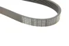 Фото 6 - ремінь генератора Audi 100/A6 4.2 V8 92-97/A8 3.3TDI 00-02 (6PK2615) BOSCH 1 987 948 366 Ремінь генератора Audi 100/A6 4.2 V8 92-97/A8 3.3TDI 00-02 (6PK2615) BOSCH 1 987 948 366 (фото 6)