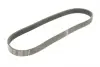 Ремінь генератора Citroen Berlingo/Jumpy/Fiat Scudo 1.9D 98-11/Peugeot Partner 96-15 (6PK869) BOSCH 1 987 948 484 (фото 2)