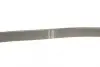 Ремінь генератора Citroen Berlingo/Jumpy/Fiat Scudo 1.9D 98-11/Peugeot Partner 96-15 (6PK869) BOSCH 1 987 948 484 (фото 4)