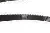 Комплект ГРМ Opel Astra F/Corsa B/Vectra B 1.4/1.6 16V 94-05 (20x169z) BOSCH 1987948989 (фото 3)