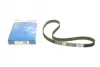Ремень ГРМ Kia Sephia 1.5 96-97/Shuma 1.5i 16V 97-01/Mazda 323 1.6/1.8 16V/MX-3 1.6 85-98 (22x145z) BOSCH 1 987 949 164 (фото 1)