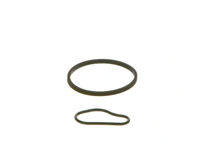 Прокладка насосу вакуумного (к-кт) Fiat Scudo/Citroen Berlingo/Peugeot Expert 1.6D/HDi 07- BOSCH F 009 D00 783