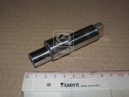 Ексцентриковий вал BOSCH F 01M 100 285