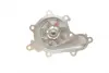 Помпа води Nissan X-Trail/Almera/Primera 2.2dCi/Di 00- (R/B) (8 лоп) BUGATTI PA10053 (фото 8)