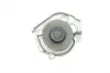 Помпа води Fiat Doblo/Panda/Punto 1.4 05-/Opel Combo 1.4 12-/Ford Ka 1.2 08-16 BUGATTI PA10153 (фото 3)