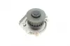 Помпа води Fiat Doblo/Panda/Punto 1.4 05-/Opel Combo 1.4 12-/Ford Ka 1.2 08-16 BUGATTI PA10153 (фото 5)