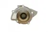 Помпа води Citroen C4/C5/C8/Jumpy/Fiat Scudo/Peugeot 308/407/Ford Focus 2.0HDI 06-(B/B)(24лоп) BUGATTI PA10170 (фото 2)