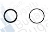CITROEN Помпа воды (с корпусом) C5 I,II,III,,Jumpy,Xsara Picasso,Fiat Scudo,Peugeot 1.6/2.2 BUGATTI PA10234 (фото 2)