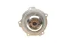 Помпа води Audi A4/A6/Skoda Felicia/VW Golf/Caddy/Passat/Polo 1.9D/TDI/SDI 95- (R/B)(6лоп) BUGATTI PA5108 (фото 2)