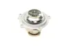 Помпа води Audi A4/A6/Skoda Felicia/VW Golf/Caddy/Passat/Polo 1.9D/TDI/SDI 95- (R/B)(6лоп) BUGATTI PA5108 (фото 3)