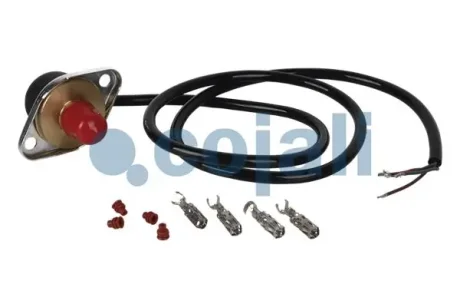 Датчик тиску палива SCANIA 4, G I, P I, R I, T DC09.108-OSC11.03 05.95-05.19 Cojali 2260281