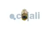 Датчик тиску палива MAN TGL I, TGM I, TGS I, TGX I D0834LFL40-D2676LF57 04.05-03.22 COJALI 2260987 (фото 2)