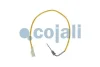 Датчик температури вихлопних газів Cojali 2262019 (фото 1)