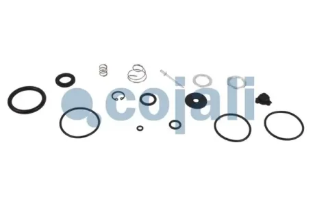 Ремкомплект сепаратора рідини MERCEDES LK/LN2, MK, NG, O 405, O 407, SK 08.73- Cojali 6012229