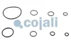 Ремкомплект робочого циліндра зчеплення Cojali 6032126 (фото 3)