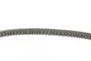 Ремінь генератора VW Caddy/Golf/Passat 1.6-2.0 91-99/Seat Ibiza/Toledo 1.6/2.0 93-02 Contitech 11,5X685Ld (фото 2)
