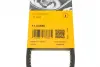 Ремінь генератора VW Caddy/Golf/Passat 1.6-2.0 91-99/Seat Ibiza/Toledo 1.6/2.0 93-02 Contitech 11,5X685Ld (фото 6)