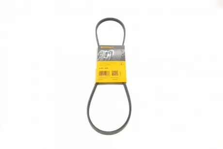 Поліклиновий ремінь CITROEN JUMPER I, XM PEUGEOT 605, BOXER 2.5D 03.94-04.02 Contitech 3PK945