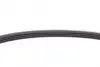 Ремінь генератора Fiat Doblo/Punto/Panda 1.2-1.4 10-/Opel Combo 1.4 12-/Chevrolet Aveo 1.2 05-07 Contitech 4PK665 (фото 4)