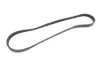 Ремінь генератора BMW 5 (E60/E61) 4.0-4.8i (N62) 03-10 (4PK844) Contitech 4PK844 ELAST (фото 5)