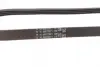 Ремінь генератора BMW 3 (E90)/5 (E60)/7 (E65/E66/E67) 2.5/3.0D 02-11 (4PK850) Contitech 4PK850 ELAST (фото 3)