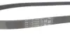 Ремінь генератора Renault Clio 1.2 16V 12- (4PK865) Contitech 4PK865 ELAST (фото 4)