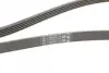 Ремінь Contitech 5PK1815 (фото 3)