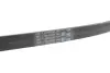 Дорiжковий ремінь Contitech 5PK926 ELAST (фото 2)