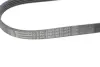 Дорiжковий ремінь Contitech 5PK926 ELAST (фото 3)