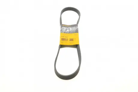 Ремінь поліклиновий Contitech 6PK1010