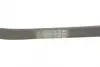 Ремінь поліклиновий Contitech 6PK1019ELAST (фото 3)