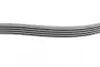 Ремінь генератора Ford Fiesta/Focus 1.4/1.6i 16V 01-12 (6PK1019 ELAST+5PK690 ELAST) Contitech 6PK1019 ELAST T1 (фото 11)
