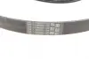 Ремінь генератора Ford Fiesta/Focus 1.4/1.6i 16V 01-12 (6PK1019 ELAST+5PK690 ELAST) Contitech 6PK1019 ELAST T1 (фото 6)