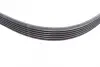 Ремінь генератора Ford Fiesta/Focus 1.4/1.6i 16V 01-12 (6PK1019 ELAST+5PK690 ELAST) Contitech 6PK1019 ELAST T1 (фото 7)