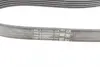 Ремінь генератора Ford Fiesta/Focus 1.4/1.6i 16V 01-12 (6PK1019 ELAST+5PK690 ELAST) Contitech 6PK1019 ELAST T1 (фото 10)