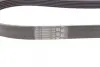 Ремінь генератора Ford Fiesta VI/Mondeo IV 08- Contitech 6PK1029 ELAST (фото 3)