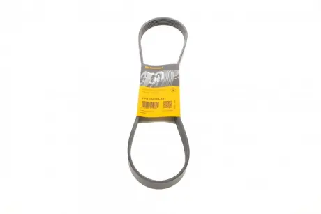 Ремінь поліклиновий Contitech 6PK1033ELAST