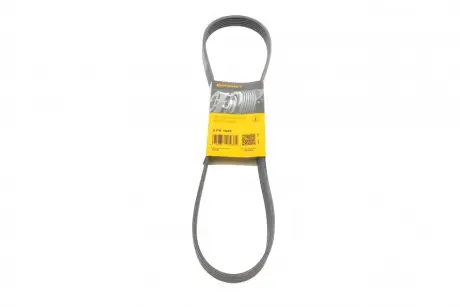 Ремінь поліклиновий Contitech 6PK1045