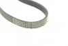 Ремінь генератора Ford Focus 1.4/1.6i 03-/Volvo C30/S40/V50 1.6 05-12 (6PK1059 ELAST+5PK868 ELAST) Contitech 6PK1059 ELAST T2 (фото 7)
