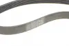 Ремінь генератора Ford Focus 1.4/1.6i 03-/Volvo C30/S40/V50 1.6 05-12 (6PK1059 ELAST+5PK868 ELAST) Contitech 6PK1059 ELAST T2 (фото 8)