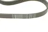 Комплект (ремінь+ролики) Contitech 6PK1070 K1 (фото 3)