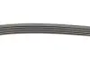 Ремінь генератора Citroen DS5/Peugeot 3008/508 I 2.0DH 10-18 Contitech 6PK1080 EXTRA (фото 4)