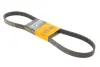 Поліклиновий ремінь (6PK1090) CITROEN C2, C3 I, C3 PLURIEL, C4, C4 GRAND PICASSO I, C4 I, C4 PICASSO I PEUGEOT 206, 207, 307 1.4D/1.6D 02.02- Contitech 6PK1090 ELAST (фото 1)