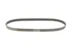 Поліклиновий ремінь (6PK1090) CITROEN C2, C3 I, C3 PLURIEL, C4, C4 GRAND PICASSO I, C4 I, C4 PICASSO I PEUGEOT 206, 207, 307 1.4D/1.6D 02.02- Contitech 6PK1090 ELAST (фото 2)